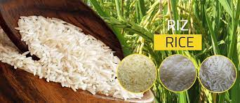 Riz BIODISS de qualité biologique