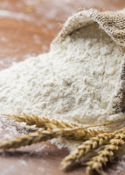 Farines spéciales : recherche partenaires export