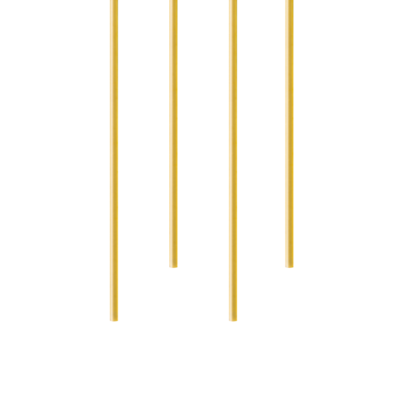 Recherche importateurs et distributeurs pour spaghetti turc export