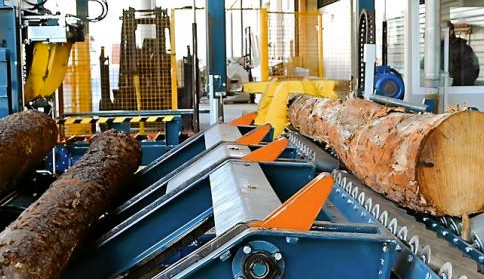 bois sous forme de grumes