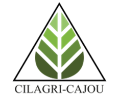 Logo entreprise